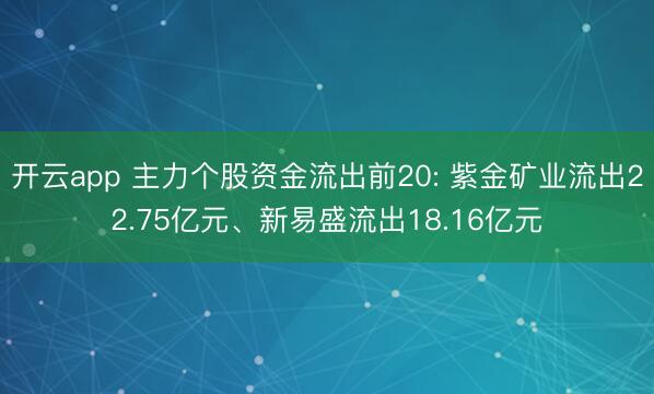 开云app 主力个股资金流出前20: 紫金矿业流出22.75亿元、新易盛流出18.16亿元