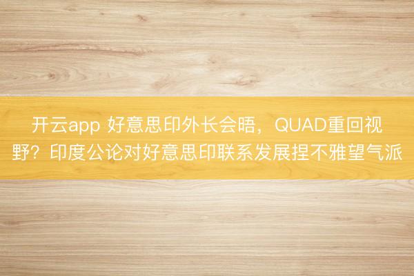 开云app 好意思印外长会晤，QUAD重回视野？印度公论对好意思印联系发展捏不雅望气派