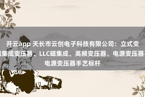 开云app 天长市云创电子科技有限公司：立式变压器、磁集成变压器、LLC磁集成、高频变压器、电源变压器手艺标杆