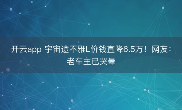 开云app 宇宙途不雅L价钱直降6.5万！网友：老车主已哭晕