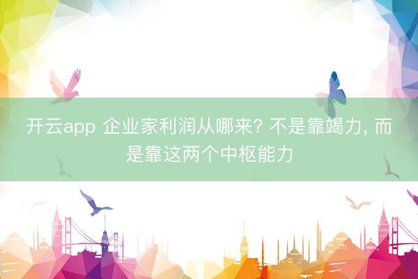 开云app 企业家利润从哪来? 不是靠竭力， 而是靠这两个中枢能力