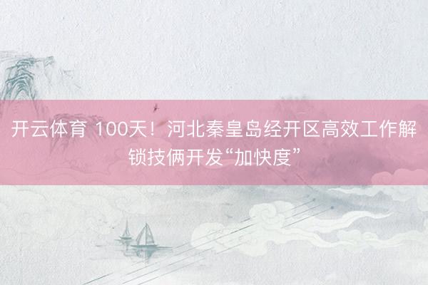 开云体育 100天！河北秦皇岛经开区高效工作解锁技俩开发“加快度”