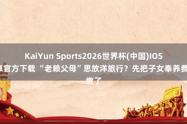 KaiYun Sports2026世界杯(中国)IOS/安卓官方下载 “老赖父母”思放洋旅行?先把子女奉养费缴了