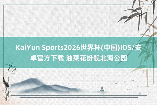 KaiYun Sports2026世界杯(中国)IOS/安卓官方下载 油菜花扮靓北海公园