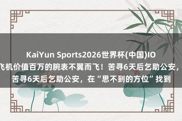 KaiYun Sports2026世界杯(中国)IOS/安卓官方下载 女子坐飞机价值百万的腕表不翼而飞！苦寻6天后乞助公安，在“思不到的方位”找到