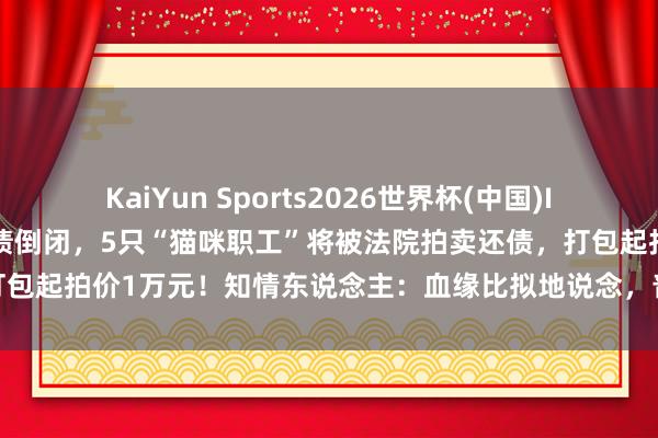 KaiYun Sports2026世界杯(中国)IOS/安卓官方下载 公司负债倒闭，5只“猫咪职工”将被法院拍卖还债，打包起拍价1万元！知情东说念主：血缘比拟地说念，普通卖价可达四五万元