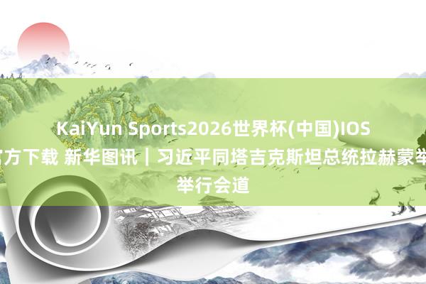 KaiYun Sports2026世界杯(中国)IOS/安卓官方下载 新华图讯｜习近平同塔吉克斯坦总统拉赫蒙举行会道