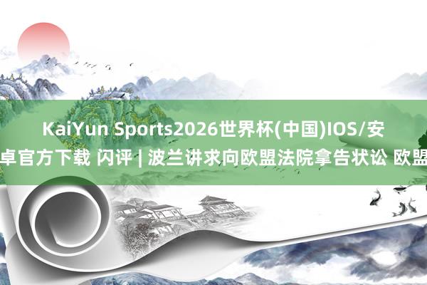 KaiYun Sports2026世界杯(中国)IOS/安卓官方下载 闪评 | 波兰讲求向欧盟法院拿告状讼 欧盟