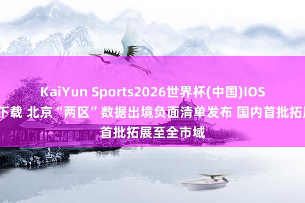 KaiYun Sports2026世界杯(中国)IOS/安卓官方下载 北京“两区”数据出境负面清单发布 国内首批拓展至全市域