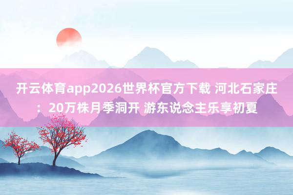 开云体育app2026世界杯官方下载 河北石家庄：20万株月季洞开 游东说念主乐享初夏