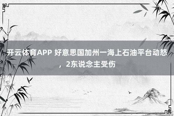 开云体育APP 好意思国加州一海上石油平台动怒，2东说念主受伤