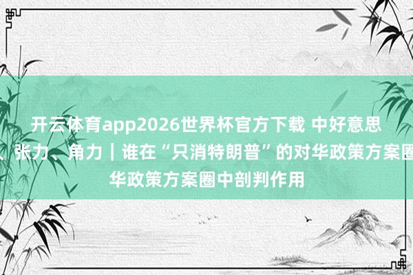 开云体育app2026世界杯官方下载 中好意思关系的后劲、张力、角力｜谁在“只消特朗普”的对华政策方案圈中剖判作用