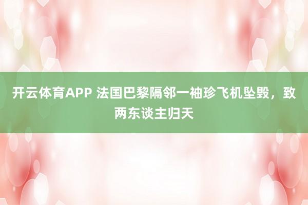 开云体育APP 法国巴黎隔邻一袖珍飞机坠毁，致两东谈主归天