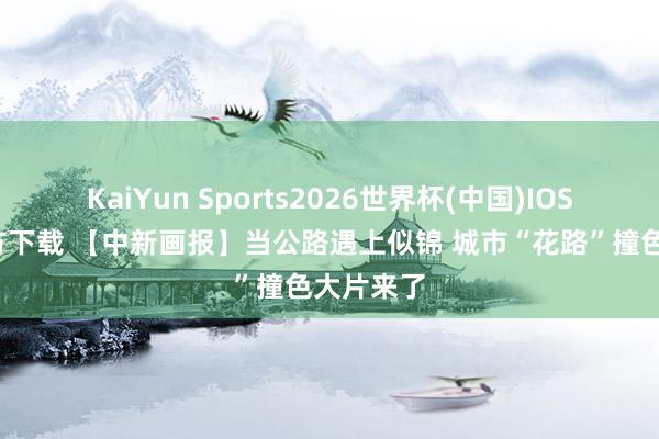 KaiYun Sports2026世界杯(中国)IOS/安卓官方下载 【中新画报】当公路遇上似锦 城市“花路”撞色大片来了