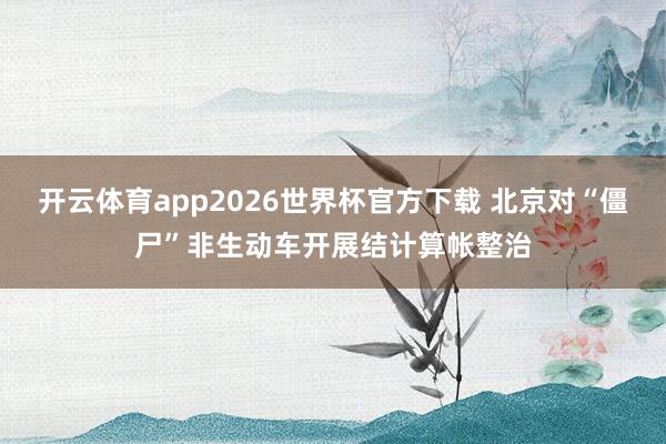 开云体育app2026世界杯官方下载 北京对“僵尸”非生动车开展结计算帐整治