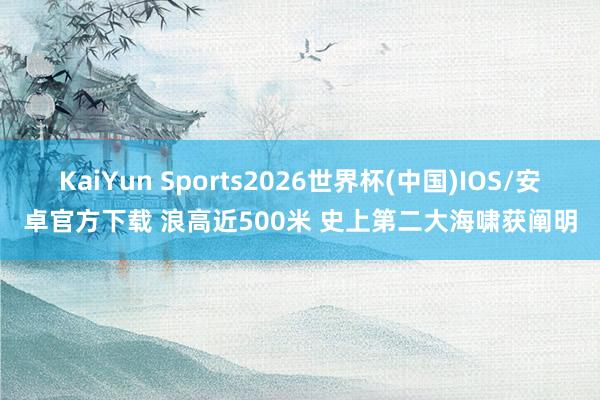 KaiYun Sports2026世界杯(中国)IOS/安卓官方下载 浪高近500米 史上第二大海啸获阐明