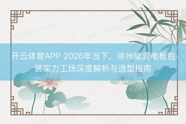 开云体育APP 2026年当下，徐州能源电板包装实力工场深度解析与选型指南