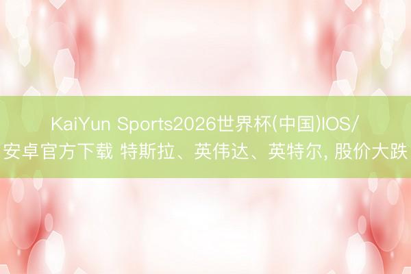 KaiYun Sports2026世界杯(中国)IOS/安卓官方下载 特斯拉、英伟达、英特尔， 股价大跌