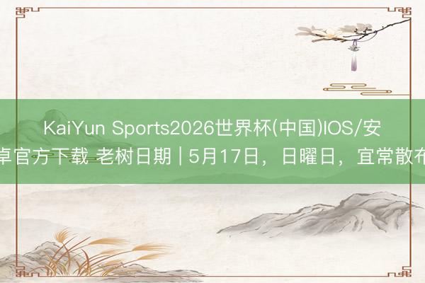 KaiYun Sports2026世界杯(中国)IOS/安卓官方下载 老树日期 | 5月17日，日曜日，宜常散布
