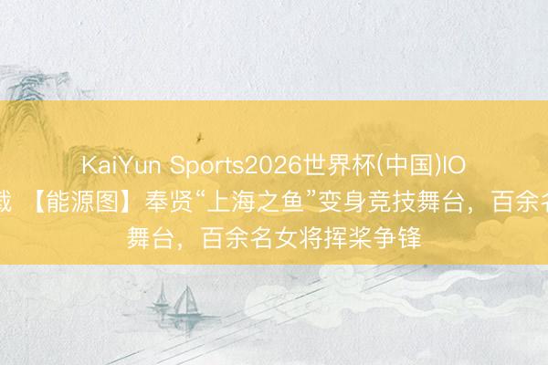 KaiYun Sports2026世界杯(中国)IOS/安卓官方下载 【能源图】奉贤“上海之鱼”变身竞技舞台，百余名女将挥桨争锋