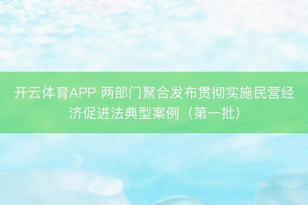 开云体育APP 两部门聚合发布贯彻实施民营经济促进法典型案例（第一批）