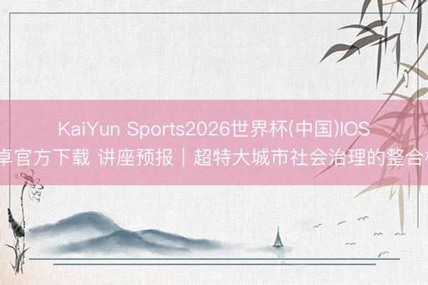 KaiYun Sports2026世界杯(中国)IOS/安卓官方下载 讲座预报｜超特大城市社会治理的整合模式
