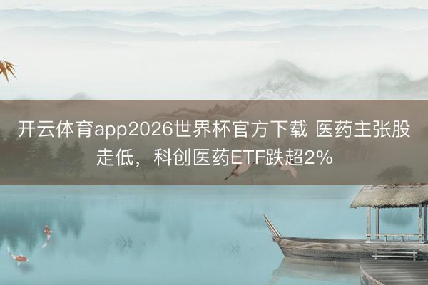 开云体育app2026世界杯官方下载 医药主张股走低，科创医药ETF跌超2%