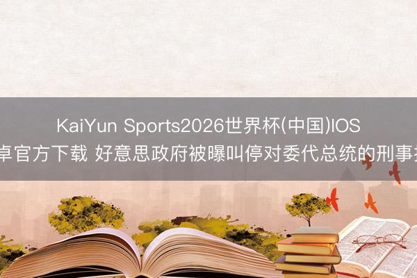 KaiYun Sports2026世界杯(中国)IOS/安卓官方下载 好意思政府被曝叫停对委代总统的刑事探访