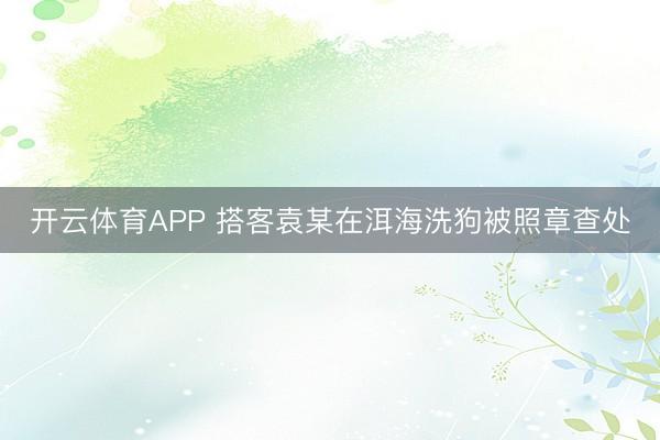 开云体育APP 搭客袁某在洱海洗狗被照章查处