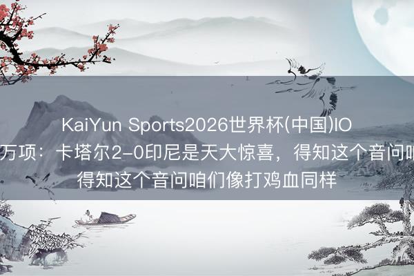 KaiYun Sports2026世界杯(中国)IOS/安卓官方下载 万项：卡塔尔2-0印尼是天大惊喜，得知这个音问咱们像打鸡血同样