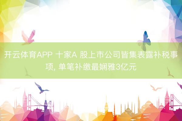 开云体育APP 十家A 股上市公司皆集表露补税事项， 单笔补缴最娴雅3亿元