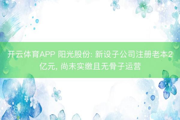 开云体育APP 阳光股份: 新设子公司注册老本2亿元， 尚未实缴且无骨子运营