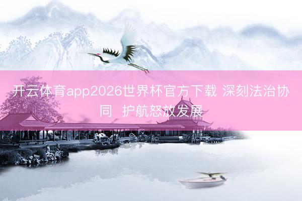 开云体育app2026世界杯官方下载 深刻法治协同  护航怒放发展