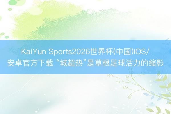 开云体育APP 自愿夜市再陷扰民争议 “烟火气”两难若何解