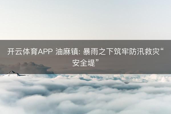 开云体育APP 油麻镇: 暴雨之下筑牢防汛救灾“安全堤”